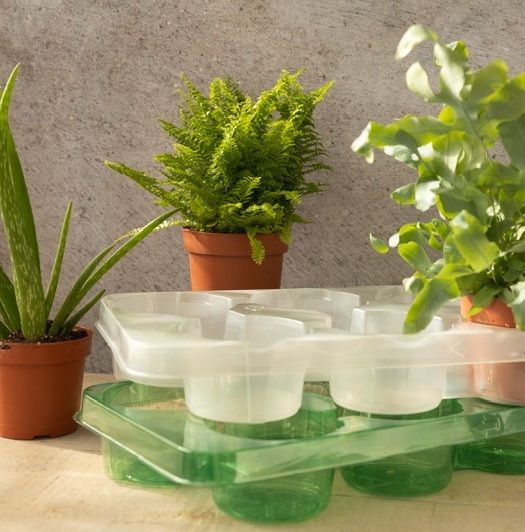 De trays van Van Tuijl De trays van Van Tuijl