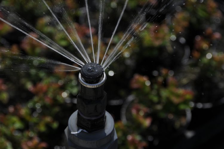 De sproeiers springen net aan als we door het containerveld naar buiten lopen De sproeiers springen net aan als we door het containerveld naar buiten lopen
