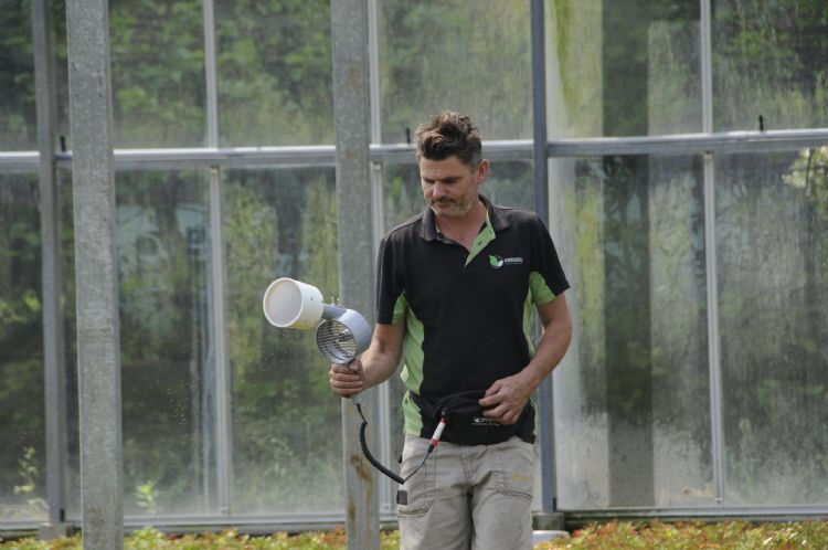 Biologische middelen in de vorm van insecten en bacteriën worden met een föhn over de gewassen verspreid Biologische middelen in de vorm van insecten en bacteriën worden met een föhn over de gewassen verspreid