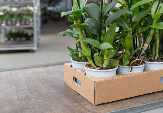 De Ecoclicktray De Ecoclicktray