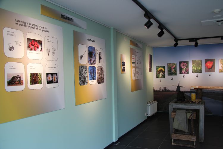 Het begin van de expositie Rariteiten in het groen Het begin van de expositie Rariteiten in het groen