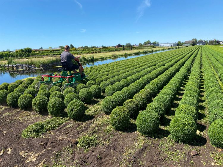 De Globus Multi E-trike aan de slag in een perceel, waar net gps-gestuurde vormsnoei plaatsvond De Globus Multi E-trike aan de slag in een perceel, waar net gps-gestuurde vormsnoei plaatsvond