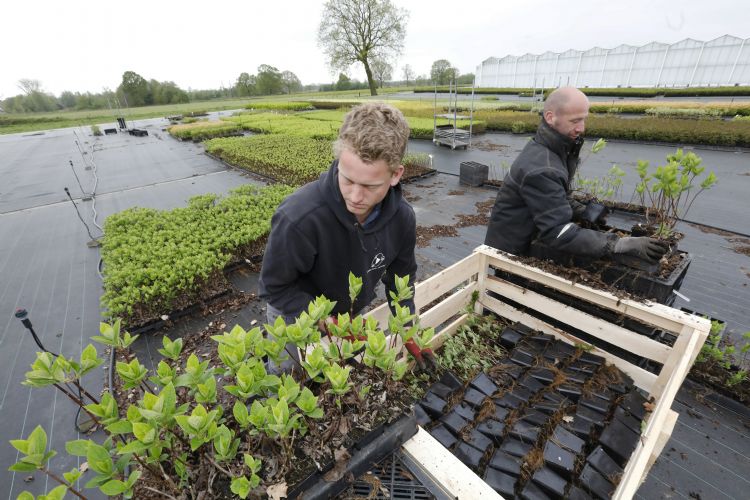 Sjors Vromans heeft een sterke focus op recycling. Sjors Vromans heeft een sterke focus op recycling.