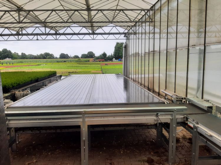 Band die de trays verenkelt voor de uitpakrobot Band die de trays verenkelt voor de uitpakrobot