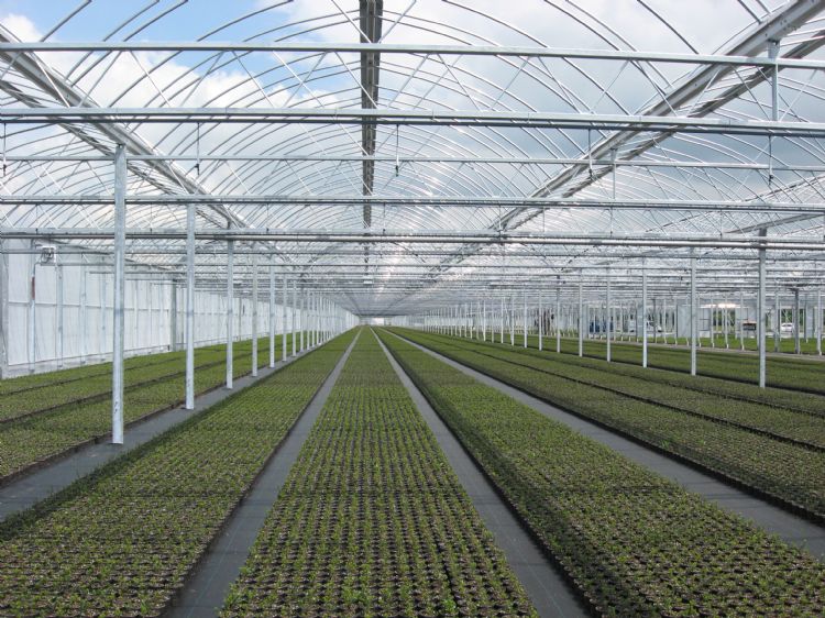 De Roll-Air wordt vooral op boom- en plantenkwekerijen gezet. De Roll-Air wordt vooral op boom- en plantenkwekerijen gezet.