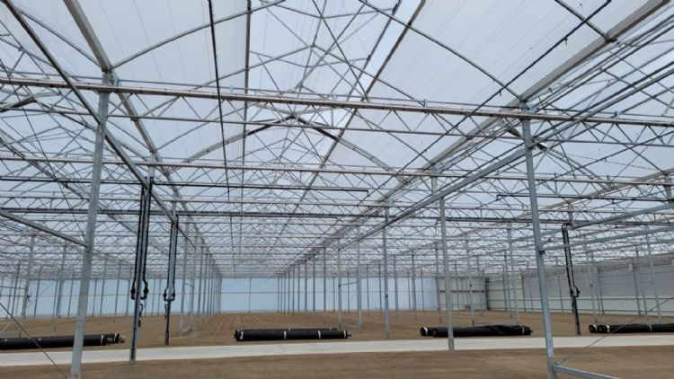 Met enkele folie en schermen in de kas creëer je flexibiliteit Met enkele folie en schermen in de kas creëer je flexibiliteit