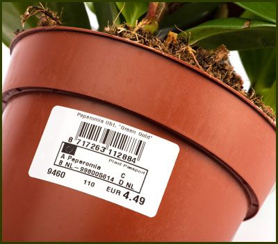 Etiket voor het plantenpaspoort Etiket voor het plantenpaspoort