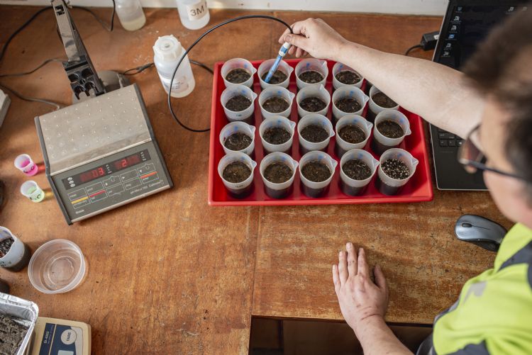 Voor het juiste substraatmengsel wordt veel onderzoek gedaan. Voor het juiste substraatmengsel wordt veel onderzoek gedaan.