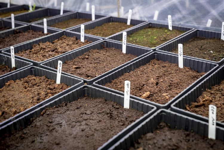 Testopstelling van substraatmengsels Testopstelling van substraatmengsels