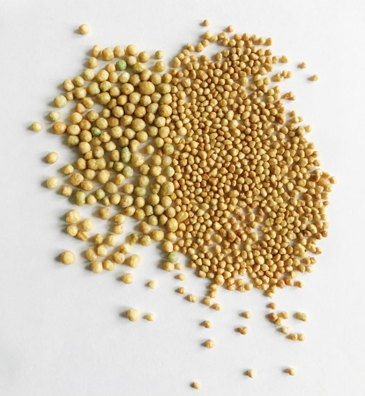 Vergelijking Omnicote en Omnicote Pluss More Vergelijking Omnicote en Omnicote Pluss More