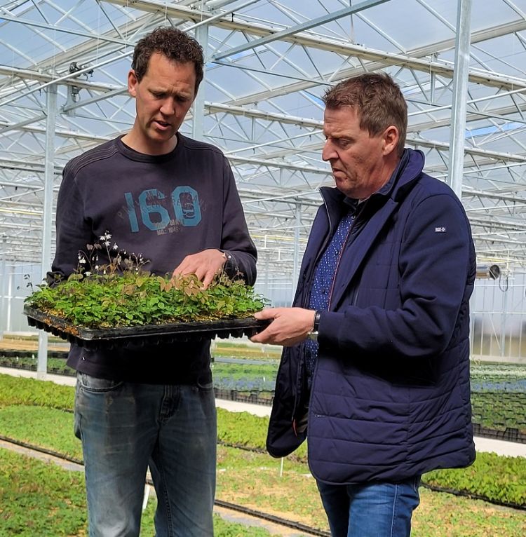 Roy Rotteveel (l.) en Ad Boender beoordelen een Quickpot-stektray. Roy Rotteveel (l.) en Ad Boender beoordelen een Quickpot-stektray.