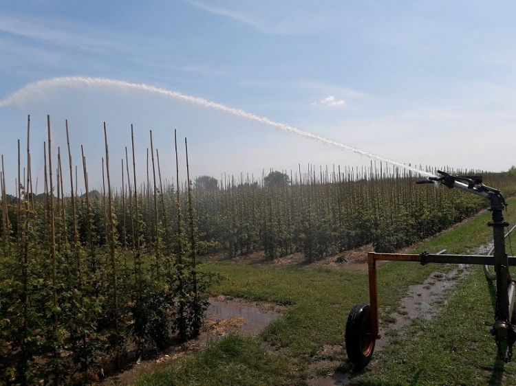 'Ouderwetse' beregening 'Ouderwetse' beregening