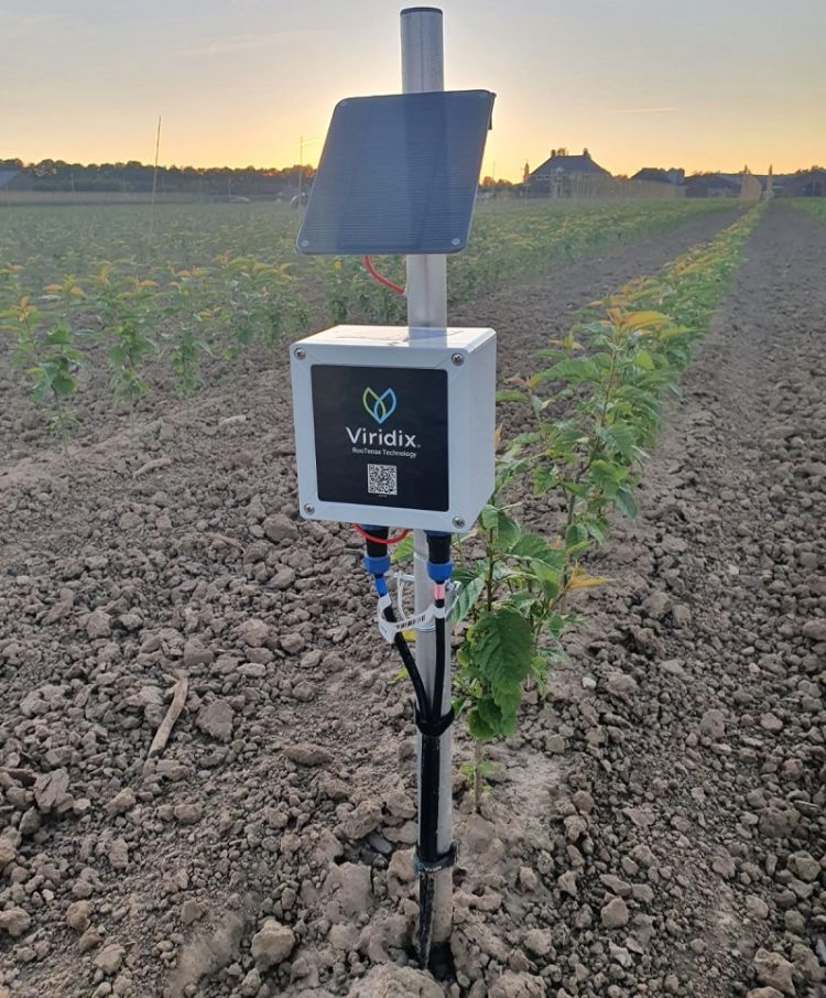 Vochtsensor in het veld Vochtsensor in het veld