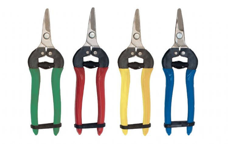 Fruitschaartjes met gekleurde handvatten tegen kruisbesmetting Fruitschaartjes met gekleurde handvatten tegen kruisbesmetting