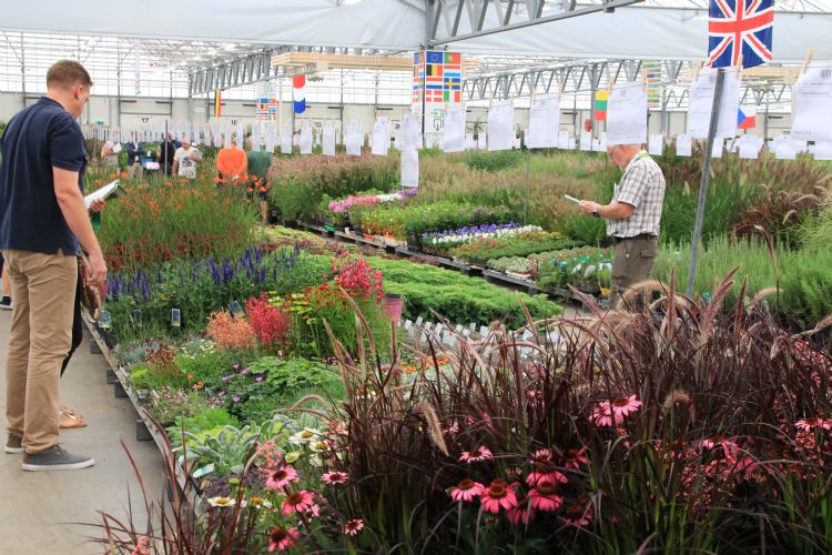 De beurs maakt een frisse start en trekt bekende en nieuwe exposanten aan De beurs maakt een frisse start en trekt bekende en nieuwe exposanten aan