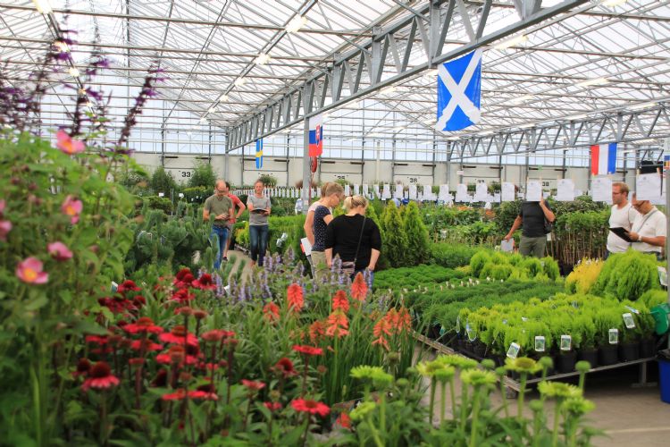 'Vakbezoekers zullen een breed assortiment groen te zien krijgen' 'Vakbezoekers zullen een breed assortiment groen te zien krijgen'