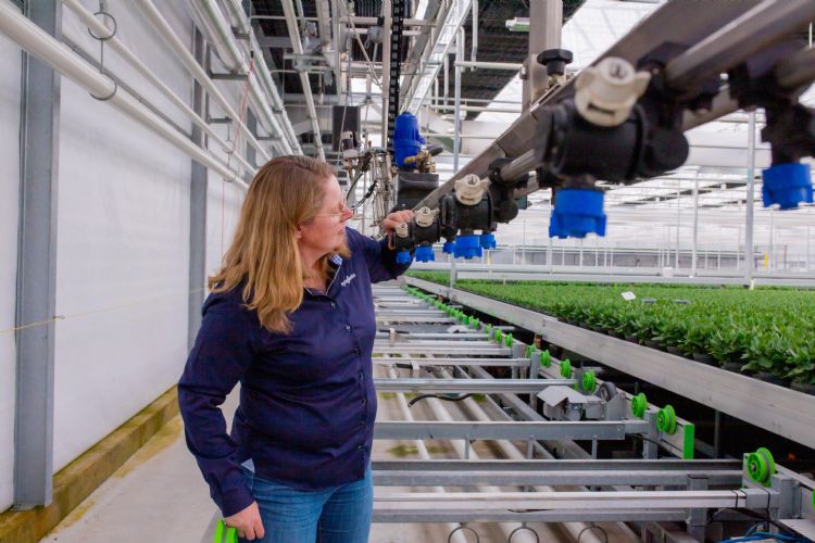 Caroline van den Hoek: 'Voor de boomkwekerij is Taegro een aanwinst' Caroline van den Hoek: 'Voor de boomkwekerij is Taegro een aanwinst'