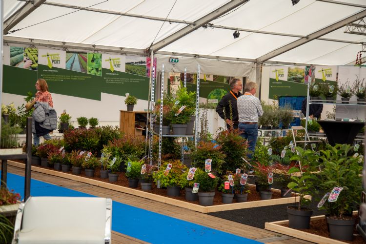 Er wordt veel kennis gedeeld via sectororganisaties zoals Treeport Zundert Er wordt veel kennis gedeeld via sectororganisaties zoals Treeport Zundert