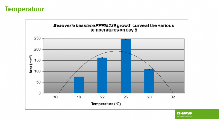 Groeicurve van <i>Beauveria bassiana</i>, strain PPRI 5339 Dia 20 Groeicurve van <i>Beauveria bassiana</i>, strain PPRI 5339 Dia 20