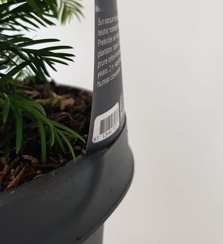 Private labeling 2.0 Private labeling 2.0