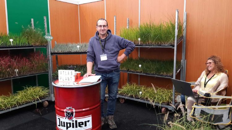Atlas Plants, Bart Laenen heeft graspluggen in soorten en maten Atlas Plants, Bart Laenen heeft graspluggen in soorten en maten