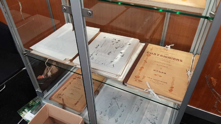 Een harde schijf van de oude en nieuwe industrie Een harde schijf van de oude en nieuwe industrie