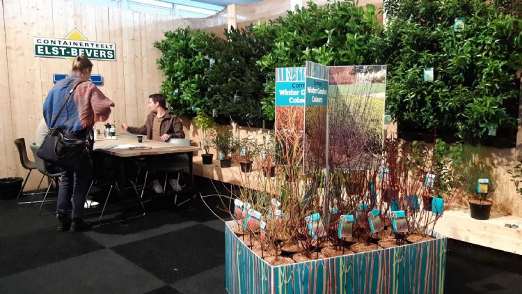 Elst-Bevers krijgt internationaal bezoek Elst-Bevers krijgt internationaal bezoek