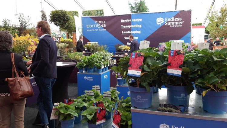 First Editions en Endless Summer, twee concepten van Hooftman en Arie Bouman met een eigen presentatie First Editions en Endless Summer, twee concepten van Hooftman en Arie Bouman met een eigen presentatie