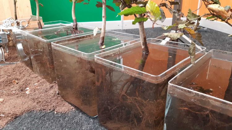 Grondige opstelling bij Hergo Grondige opstelling bij Hergo