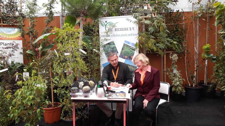 Jack Niekerk tussen de Italiaanse planten Jack Niekerk tussen de Italiaanse planten