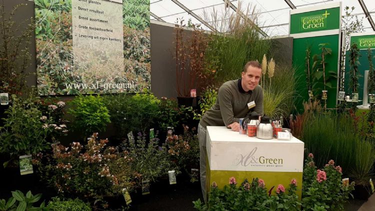 Marvin van XL&Green Marvin van XL&Green