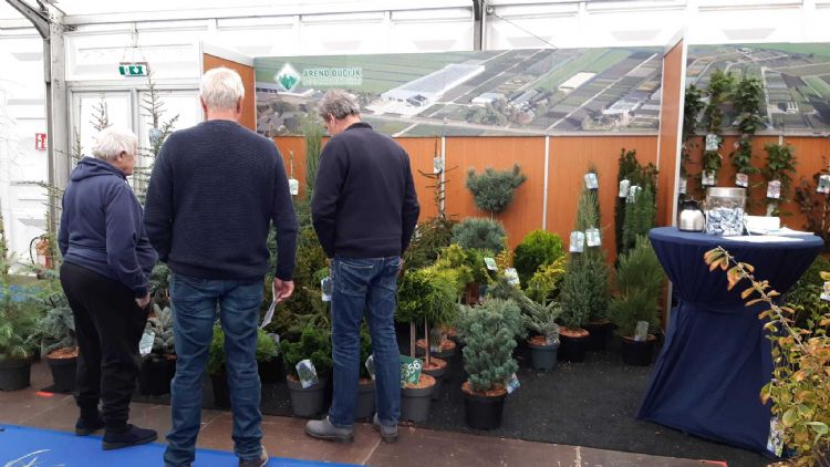 Mooie naaldbomen in de stand van Arend Oudijk Mooie naaldbomen in de stand van Arend Oudijk