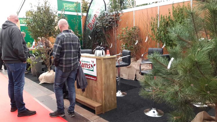 Ook Dams heeft voortdurend aanloop Ook Dams heeft voortdurend aanloop