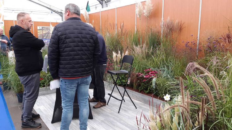 Stevens Planten laat zien wat er mogelijk is met siergrassen Stevens Planten laat zien wat er mogelijk is met siergrassen