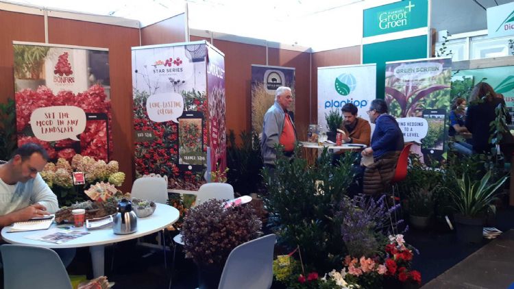 Plantipp mag vanzelfsprekend niet ontbreken Plantipp mag vanzelfsprekend niet ontbreken