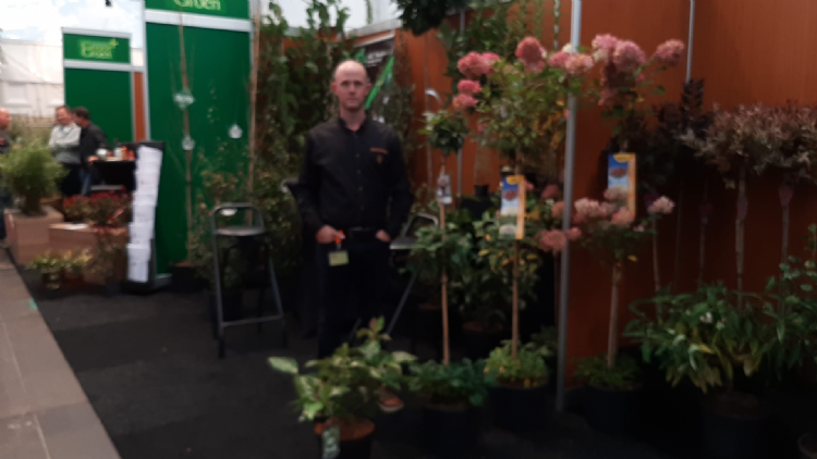 Ooh wat zijn ze mooi die summier triples van Erwin maaijen Ooh wat zijn ze mooi die summier triples van Erwin maaijen