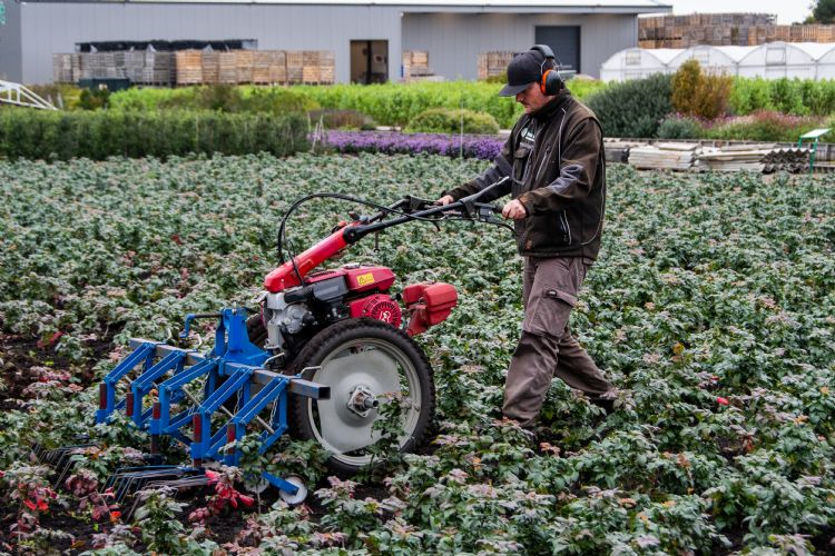Roel Riem Vis zette de stap van beveiliging naar groen Roel Riem Vis zette de stap van beveiliging naar groen