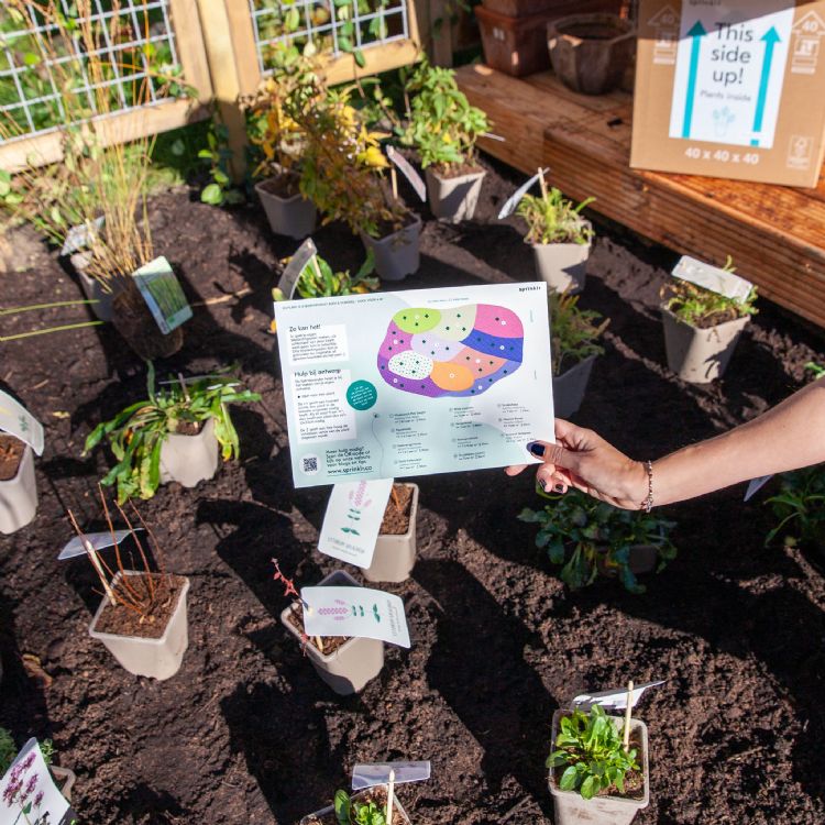 Met de bestelling wordt informatie over een beplantingsplan meegegeven plus een online plantencursus in de mailbox Met de bestelling wordt informatie over een beplantingsplan meegegeven plus een online plantencursus in de mailbox