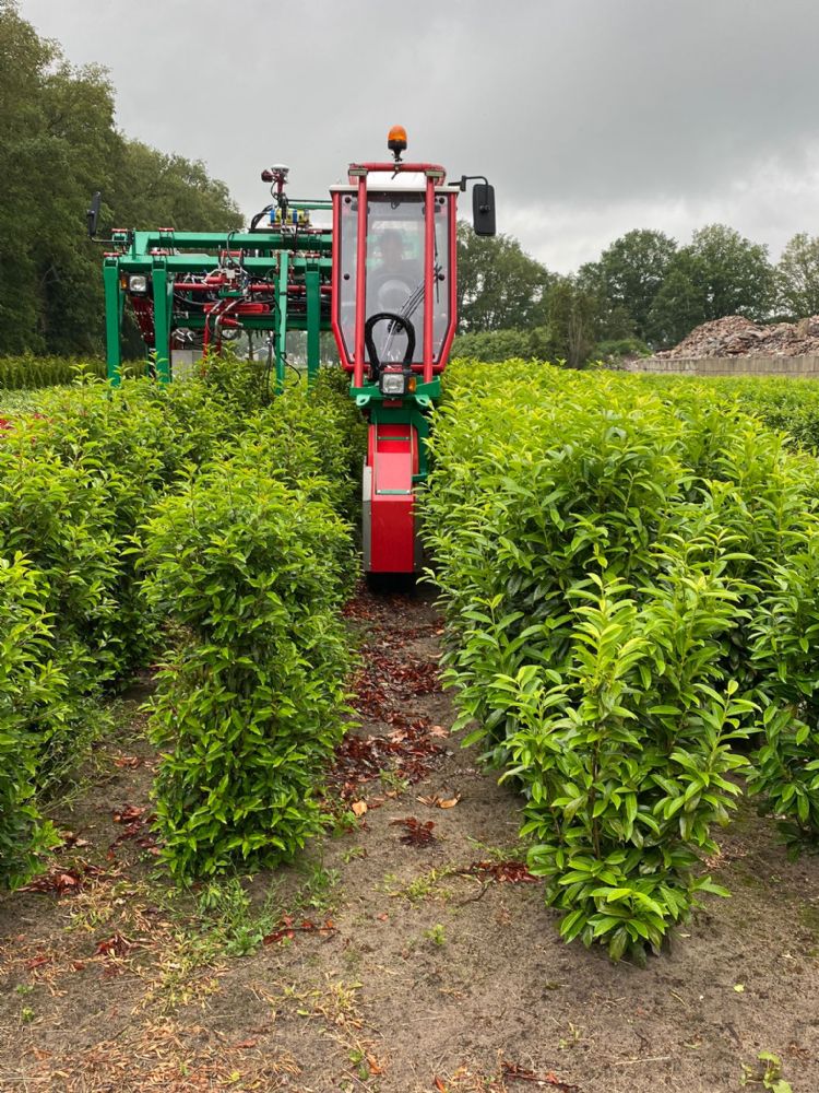 De GlobusTrike van Plantium heeft een doorrijhoogte van 1,90 meter De GlobusTrike van Plantium heeft een doorrijhoogte van 1,90 meter
