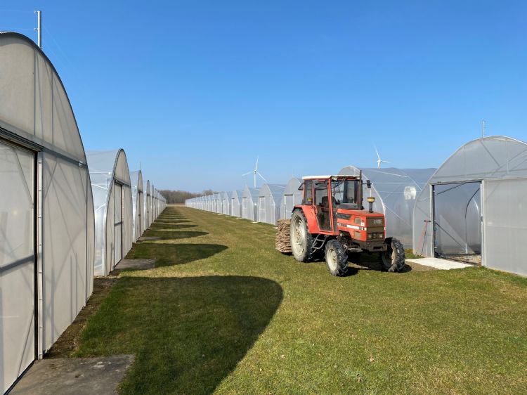 Voorbeeld van de veel toegepaste Rovero 640 tunnel Voorbeeld van de veel toegepaste Rovero 640 tunnel