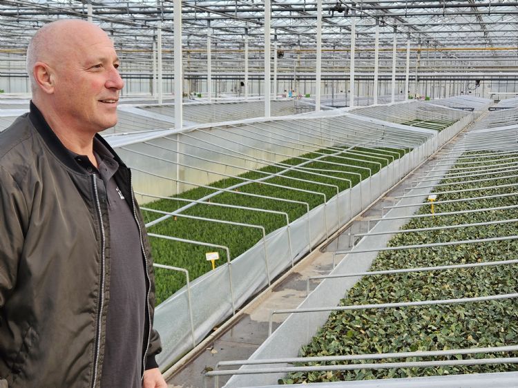 Maarten Bongers in de kas waar de stekken wortelschieten Maarten Bongers in de kas waar de stekken wortelschieten