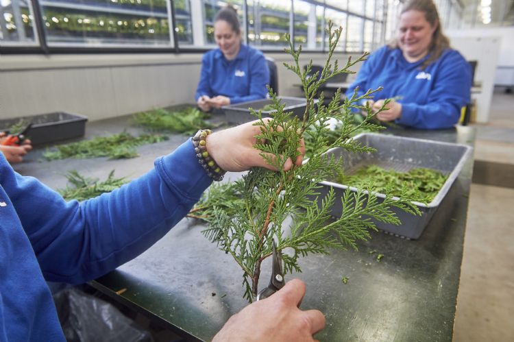 Het zenuwcentrum van de kwekerij Het zenuwcentrum van de kwekerij