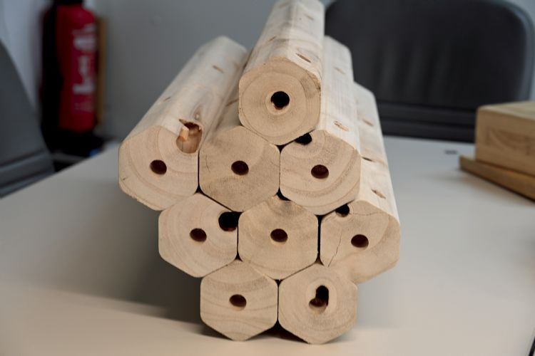 WeGrow ontwikkelt in samenwerking met marktpartijen concepten om het hout toe te passen in de bouw. Hier drie tot vier jaar oude stammen die hexagoon geschaafd zijn en met duvels verankerd.