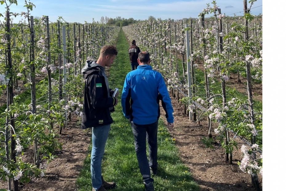 Samen met de keten: training van belangrijke adviseurs, inzake de BIS methode voor Fruitmot (Beeld via Bayer) Samen met de keten: training van belangrijke adviseurs, inzake de BIS methode voor Fruitmot (Beeld via Bayer)