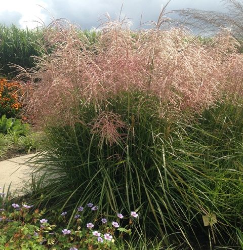 Empho focus op kwalitatieve productontwikkeling Empho focus op kwalitatieve productontwikkeling