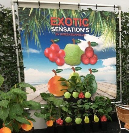 Kweeksmakelijk met Plantport Kweeksmakelijk met Plantport