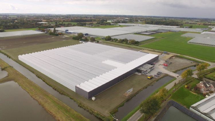 Allplant werkt op natuurlijke basis Allplant werkt op natuurlijke basis