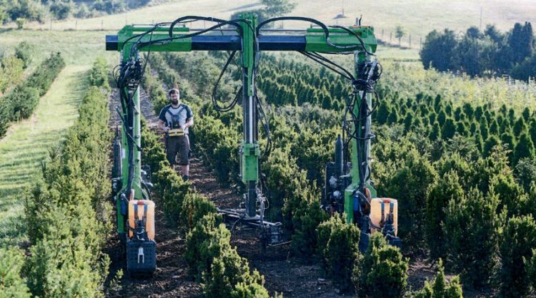 Flunick, een opvallende verschijning Flunick, een opvallende verschijning