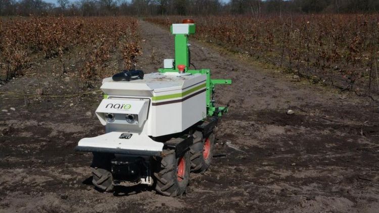 Oz tovert het onkruid weg Oz tovert het onkruid weg