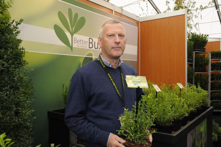 Didier Hermans Met nieuw Better Buxus CV's Didier Hermans Met nieuw Better Buxus CV's